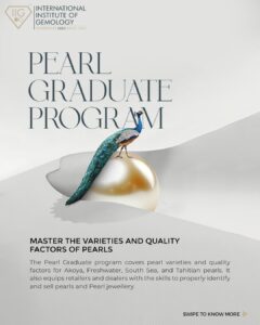 Pearl Graduate programme