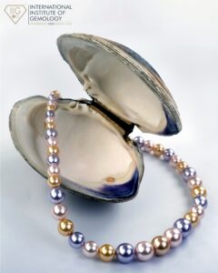 Pearl Jewellery