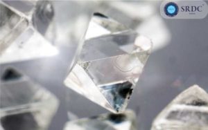 Rough Diamond Assortment? Experience This!