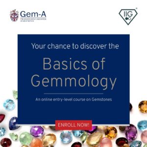 IIG has secured the exclusive rights to sell Gem-A’s online-only beginner’s level gemmology course GemINTRO across the Indian market.