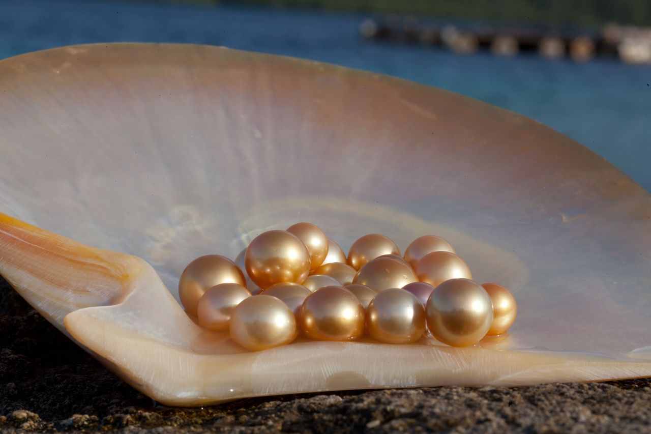 June Birthstone - Pearl - IIG INDIA