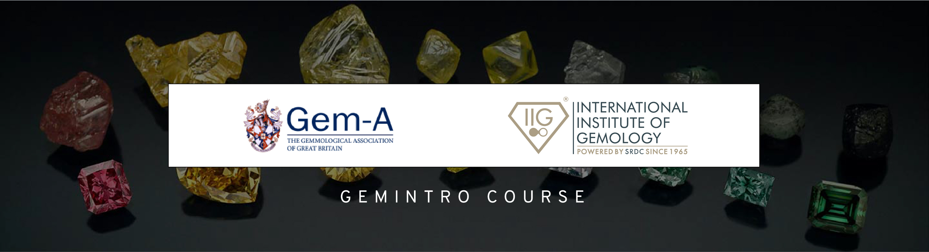 Courses in Gems & Jewellery