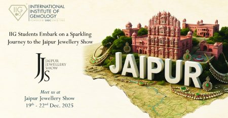 IIG Students Jaipur Industrial Visit