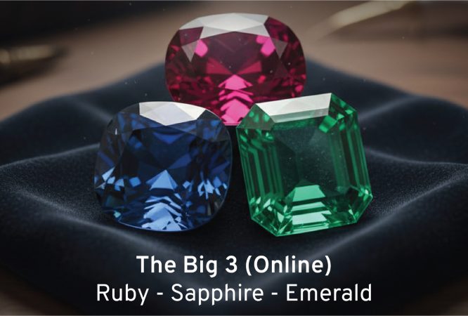 WhatsApp Image 2026-03-06 at 3.50.23 PM